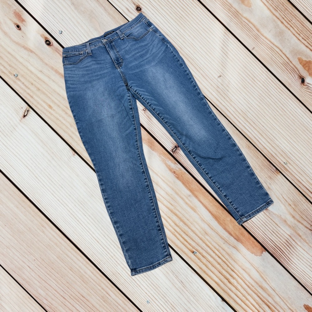 Lucky Brand Lolita Skinny Jean size 16 (33)